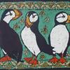 Puffins on Green